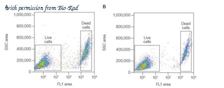 Bio-Rad 1351111 image 1