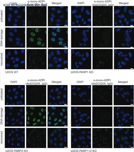 Bio-Rad HCA355 image 1