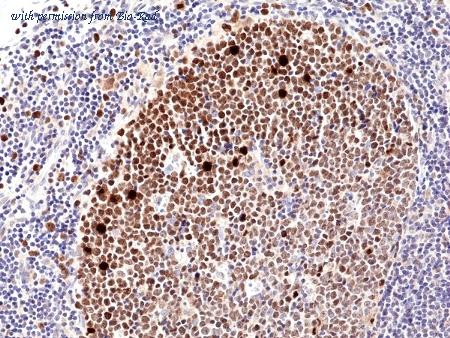 Bio-Rad MCA6357 image 1