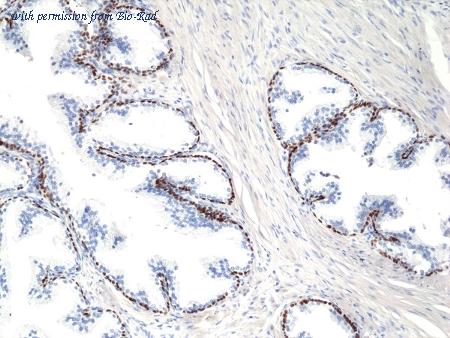 Bio-Rad MCA6358 image 1