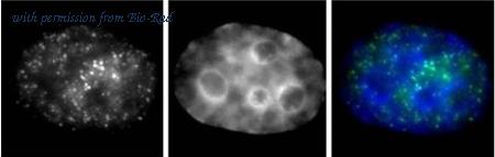 Bio-Rad MCA6380 image 1
