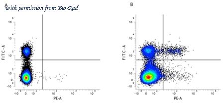 Bio-Rad MCA1260SBB615 image 1