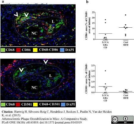 Bio-Rad MCA2392PE image 1