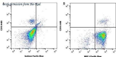 Bio-Rad MCA81SBB675 image 1