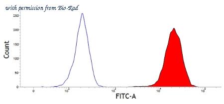 Bio-Rad MCA832A647 image 1