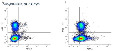 Bio-Rad MCA1031SBR775 image 1