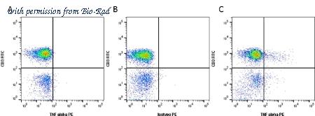 Bio-Rad MCA1560A647 image 1