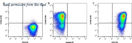 Bio-Rad MCA1738SBY800 image 1