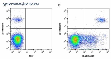 Bio-Rad MCA1879A647 image 1
