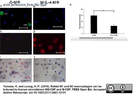 Bio-Rad MCA2155F image 1
