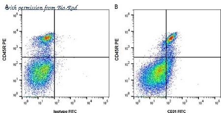 Bio-Rad MCA2388SBV610 image 1
