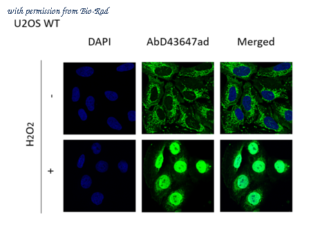Bio-Rad TZA020P image 1