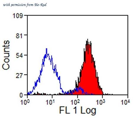 Bio-Rad MCA1218PE image 1