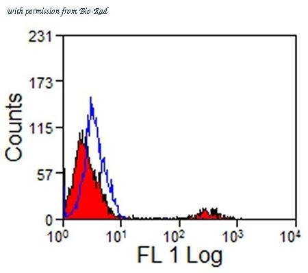 Bio-Rad MCA1576A647 image 1