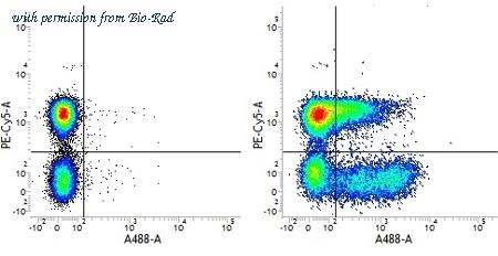 Bio-Rad MCA1019SBUV540 image 1