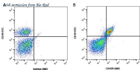 Bio-Rad MCA1258SBUV540 image 1