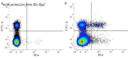 Bio-Rad MCA1260SBUV540 image 1