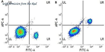 Bio-Rad MCA1271SBUV540 image 1