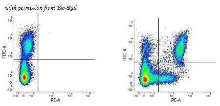 Bio-Rad MCA2087SBUV540 image 1