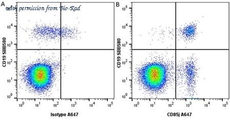 Bio-Rad MCA2515SBUV540 image 1