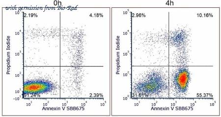 Bio-Rad ANNEXINF image 1