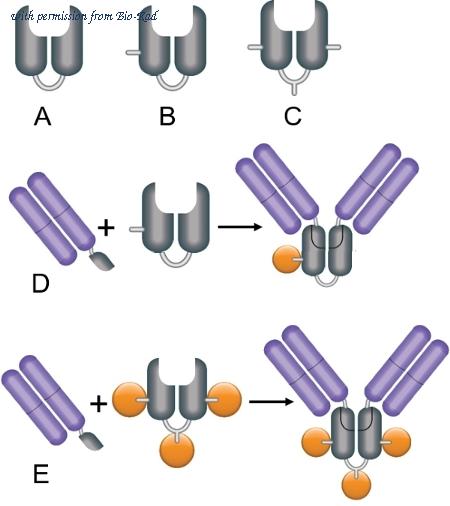 Bio-Rad TZC041B image 1