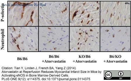 Bio-Rad MCA771A647T image 1