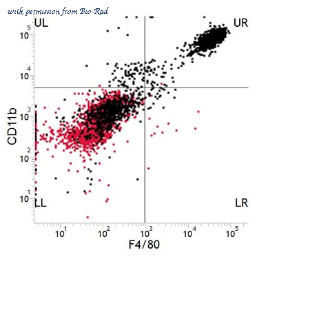 Bio-Rad MCA497A488T image 1
