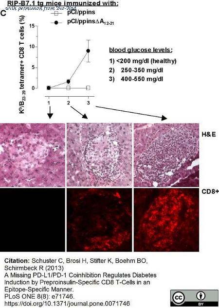 Bio-Rad MCA2694T image 1