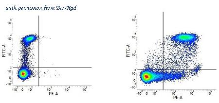 Bio-Rad MCA469A647T image 1