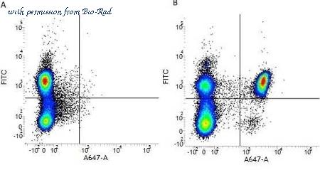 Bio-Rad MCA1267A488T image 1