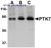 Bio-Rad AHP1440 image 1