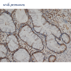 Bio-Rad MCA2733 image 1