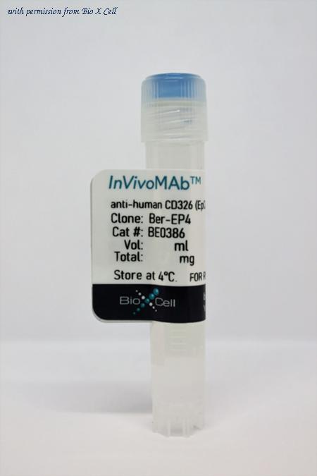 Bio X Cell BE0386-5MG image 1