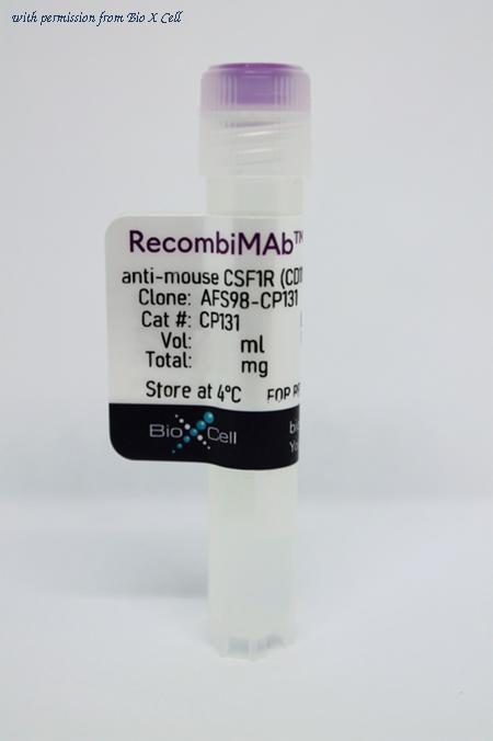 Bio X Cell CP131-5MG image 1