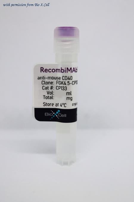 Bio X Cell CP133-25MG image 1