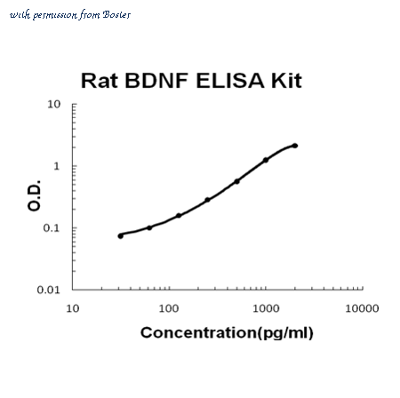 Boster EK0308 image 1