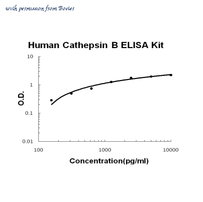 Boster EK0670 image 1