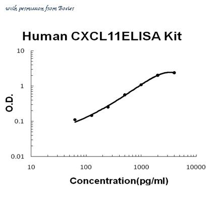 Boster EK0737 image 1