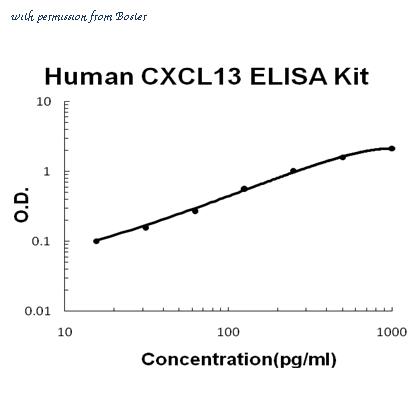 Boster EK0739 image 1