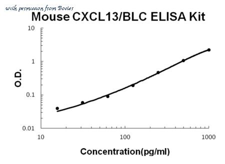 Boster EK0740 image 1