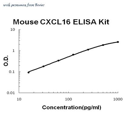 Boster EK0742 image 1