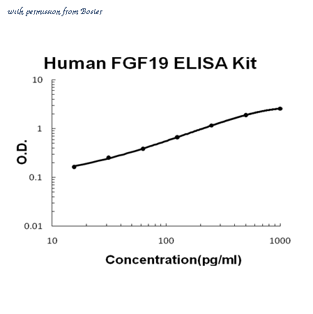 Boster EK1160 image 1