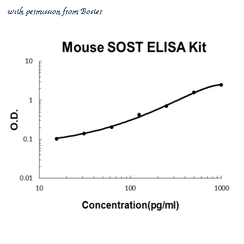Boster EK1179 image 1