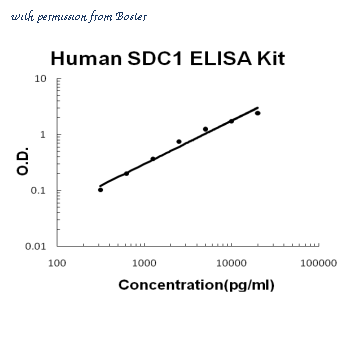 Boster EK1339 image 1