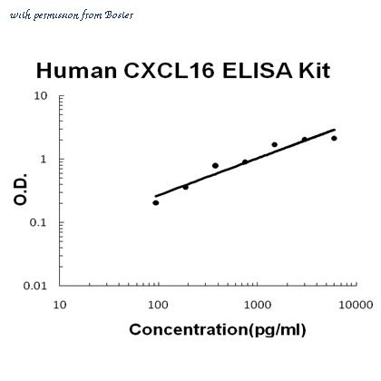 Boster EZ0741 image 1