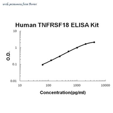 Boster FEK0768 image 1