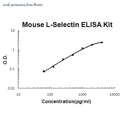 Boster FEK0504 image 1
