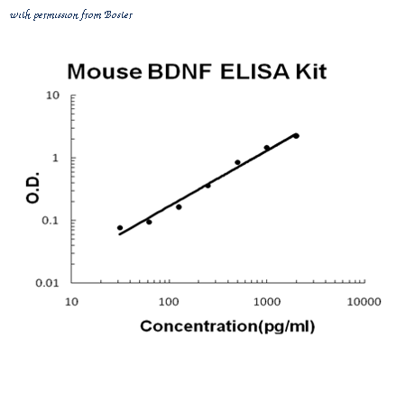 Boster EZ0309 image 1