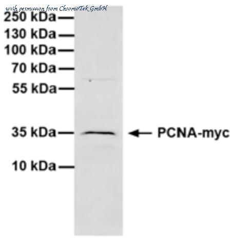 ChromoTek GmbH 9e1-20 image 1